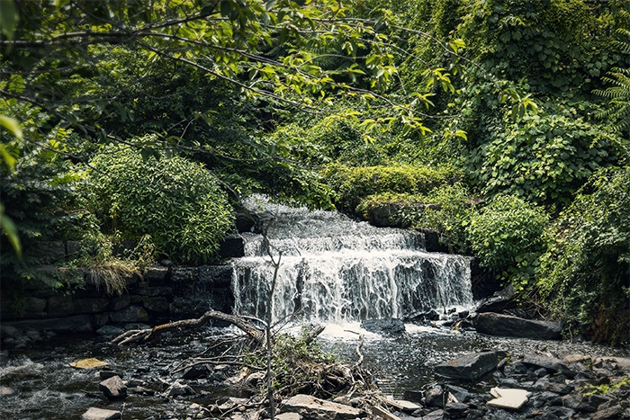 Nature & Landscape — Uncharted