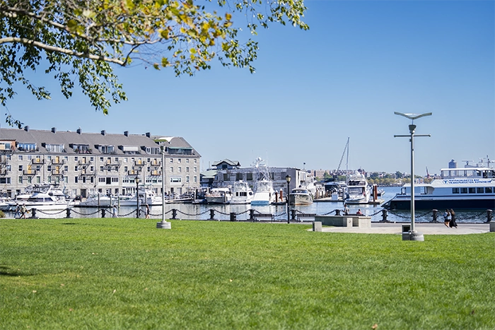 Street Photography-Harborstead