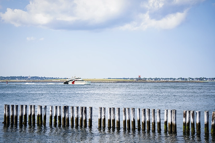 Street Photography-Dog Days
