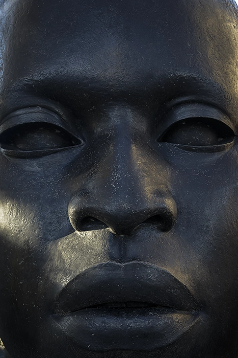 Street Photography-Still Freedom