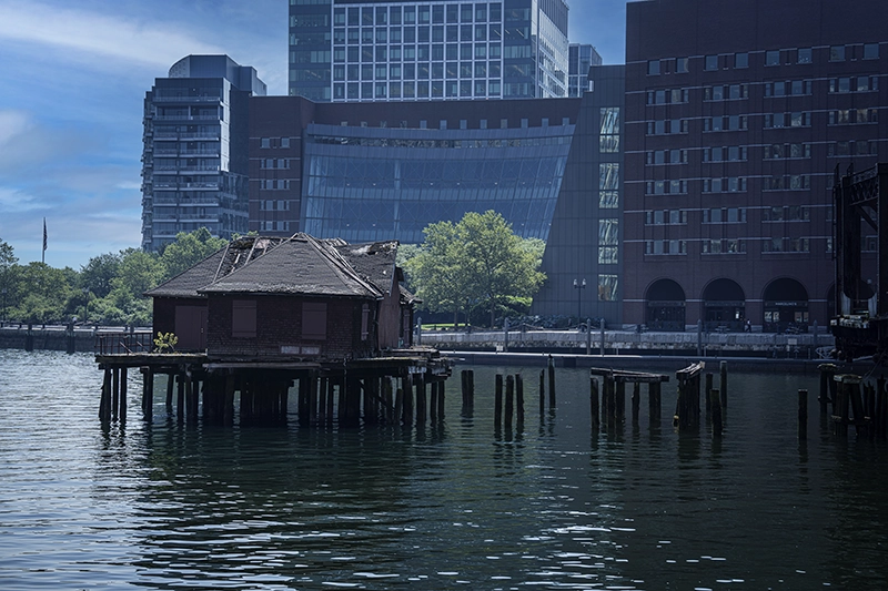 Street Photography-Still Standing